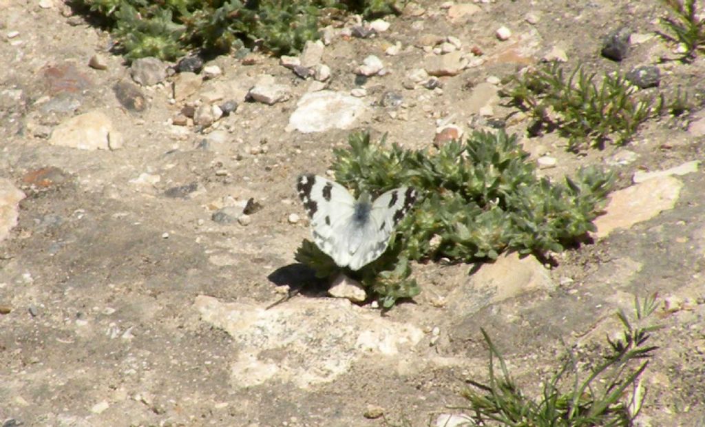 Gerusalemme: dal Monte degli Ulivi alla valle del Cedron